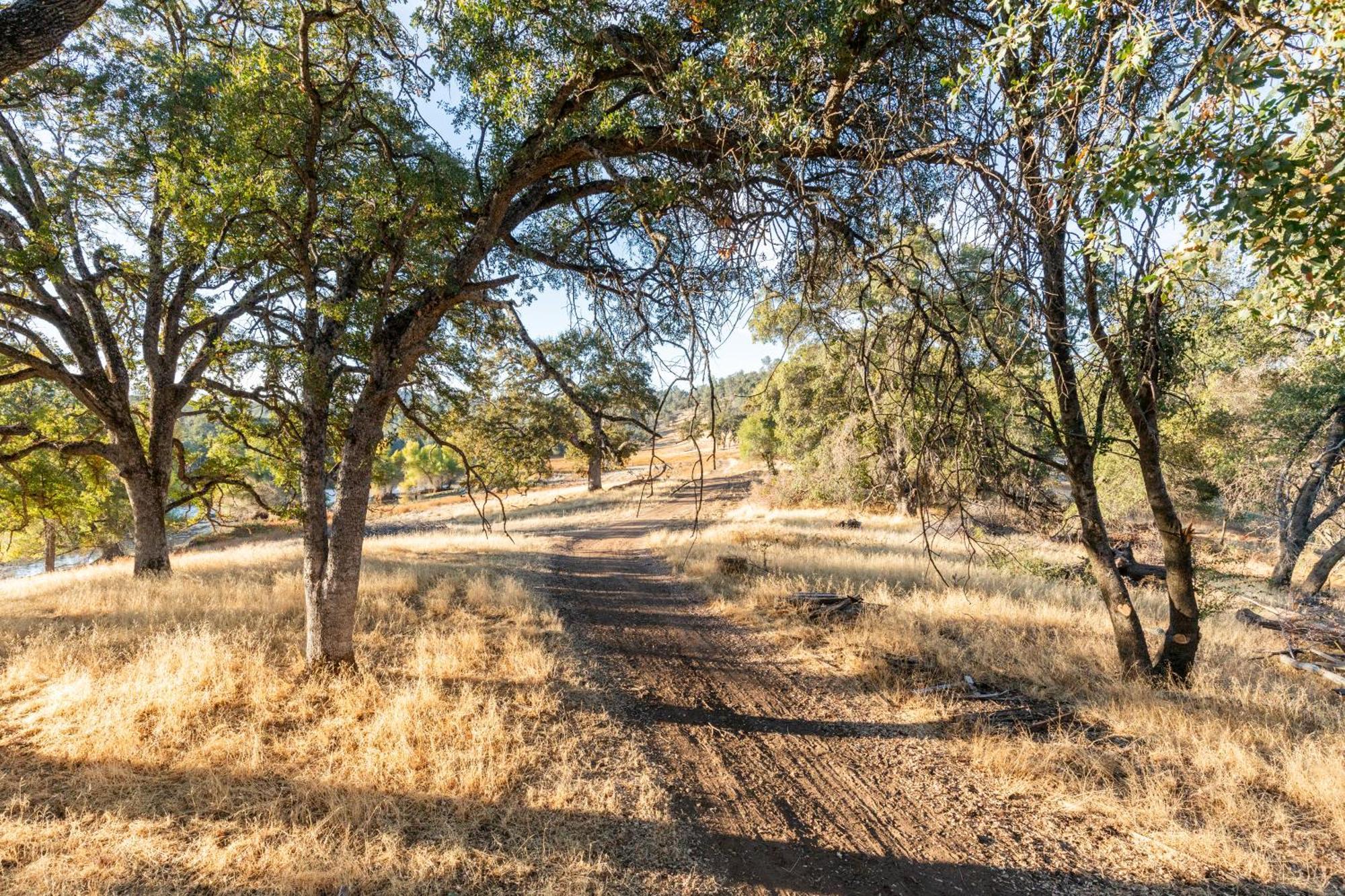 Rolling Oaks Ranch - 200 Acres Of Lakeside Beauty & Countryside Serenity 마리포사 외부 사진