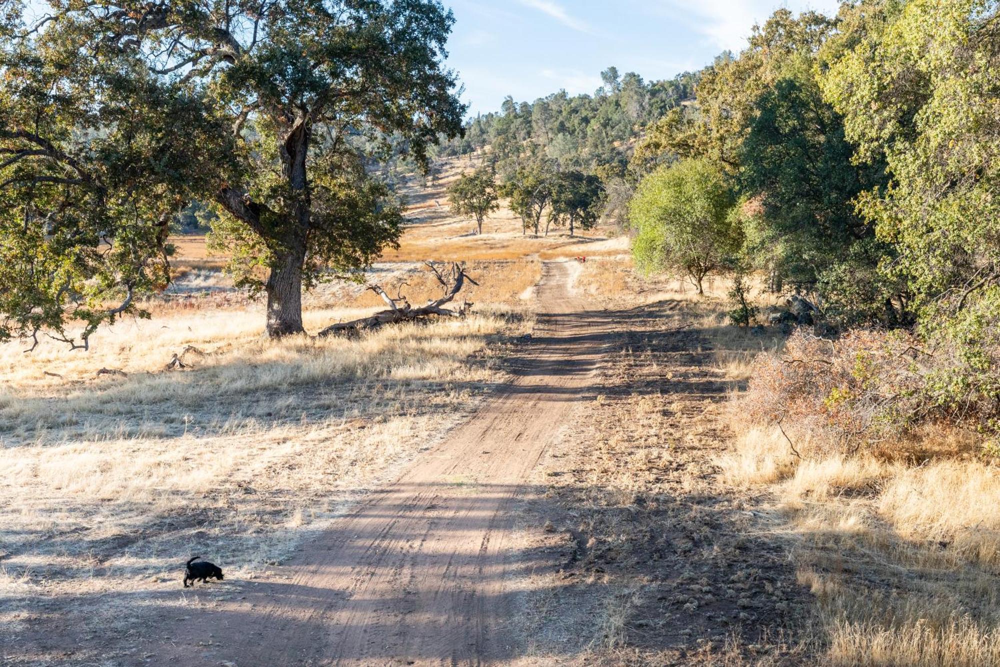 Rolling Oaks Ranch - 200 Acres Of Lakeside Beauty & Countryside Serenity 마리포사 외부 사진