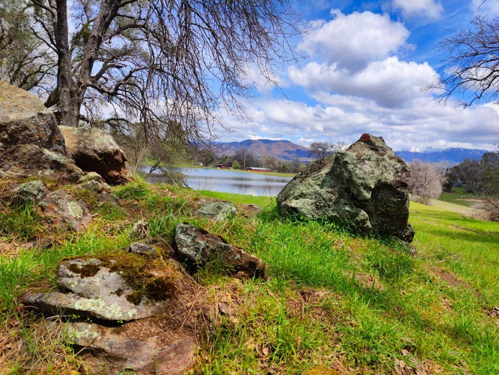 Rolling Oaks Ranch - 200 Acres Of Lakeside Beauty & Countryside Serenity 마리포사 외부 사진