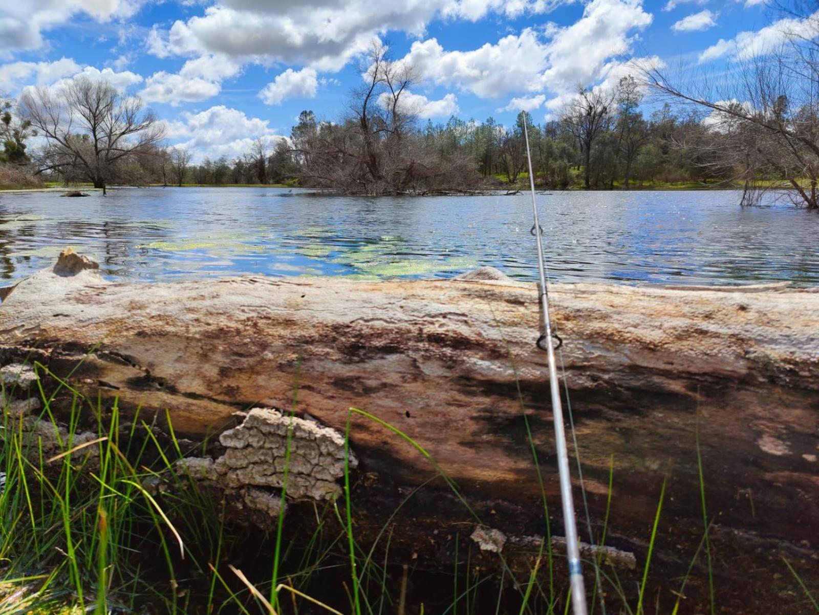 Rolling Oaks Ranch - 200 Acres Of Lakeside Beauty & Countryside Serenity 마리포사 외부 사진
