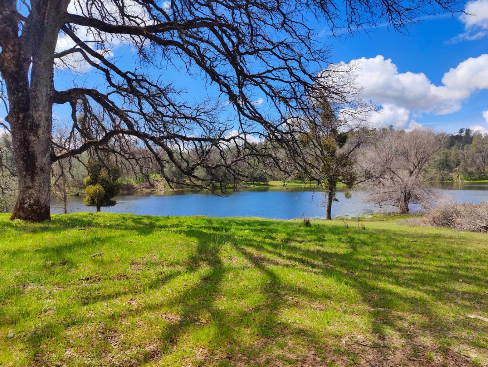 Rolling Oaks Ranch - 200 Acres Of Lakeside Beauty & Countryside Serenity 마리포사 외부 사진